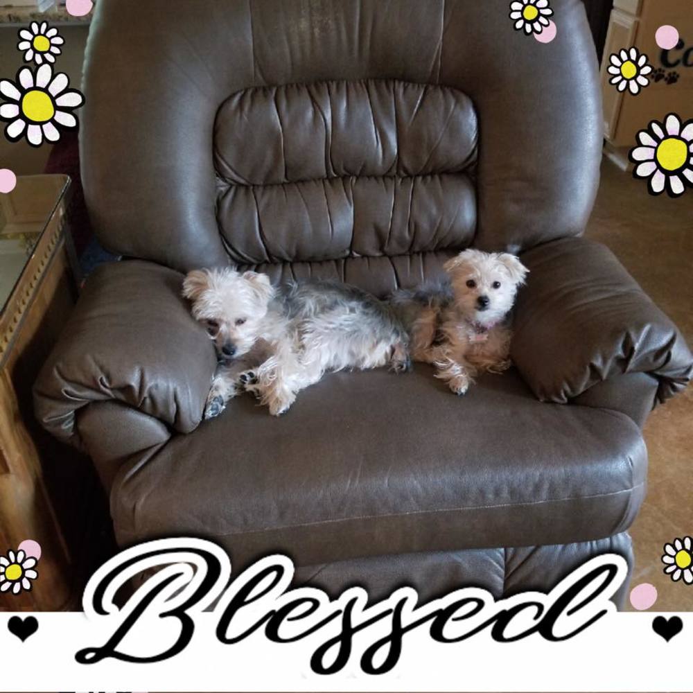 Meet your Posher, Heather